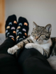 Obrázek z LONKA Ponožky dámské tenké FELIXA s kočkami (3 páry) 