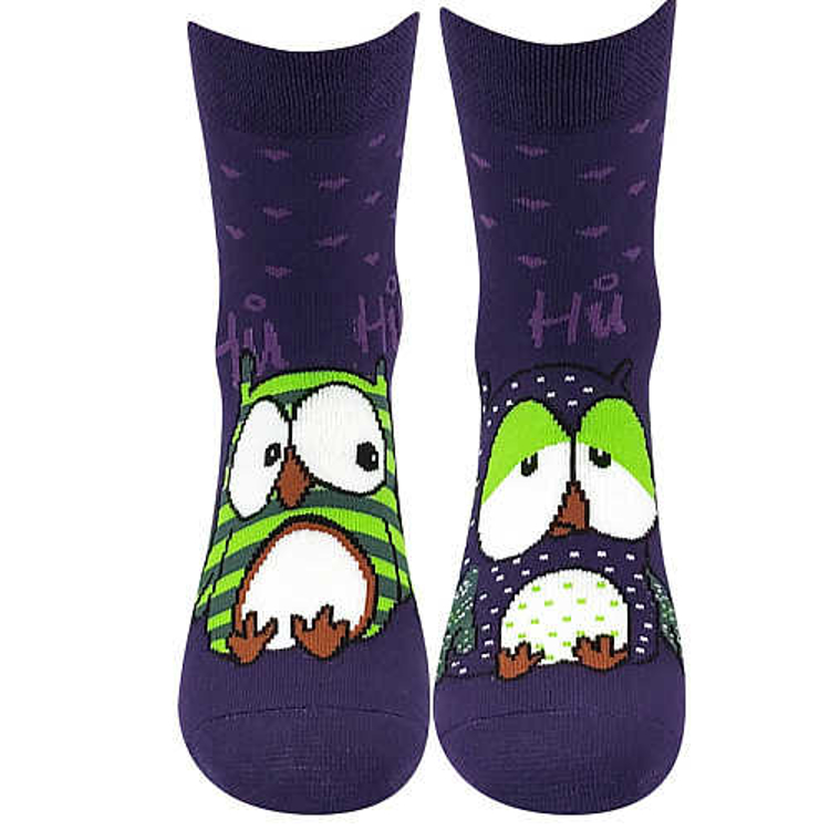 Obrázek z BOMA Ponožky dámské celofroté PRUHANA ABS 12 se sovičkami BORŮVKOVÉ (3 páry) 