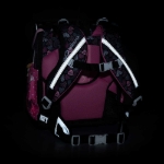 Obrázek z Bagmaster PRIM 23 A školní aktovka - pejsek růžová 20 l 