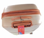 Obrázek z Cestovní kufr Dielle M PP STRIPE 190-66-60 hnědá 78 L 