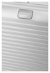 Obrázek z Travelite Next Business wheeler Silver 34 L 