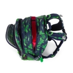 Obrázek z Bagmaster LUMI 25 C školní batoh – dinosaurus Zelená 18 l 