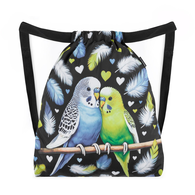 Obrázek z Bagmaster SÁČEK BETA 25 A školní na přezůvky / tělocvik – papoušek Černá 1,5 l 