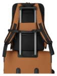 Obrázek z Travelite Briize Backpack M Curry 23 L 