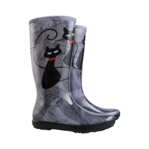 Obrázek pro kategorii dámské holínky