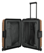 Obrázek z Titan Overseas S Front pocket Canyon bronze 42 L 