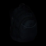 Obrázek z Bagmaster ENERGY 25 A studentský batoh – černý Černá 34 l 