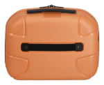 Obrázek z IMPACKT IP1 Beauty case Garden apricot 22 L 