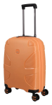Obrázek z IMPACKT IP1 S Garden apricot 38 L 