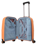 Obrázek z IMPACKT IP1 S Garden apricot 38 L 