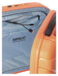 Obrázek z IMPACKT IP1 S Garden apricot 38 L 