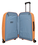 Obrázek z IMPACKT IP1 M Garden apricot 73 L 