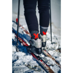 Obrázek z VOXX Ponožky zimní thermo z merino VISION se stříbrem SVĚTLE ŠEDÉ 