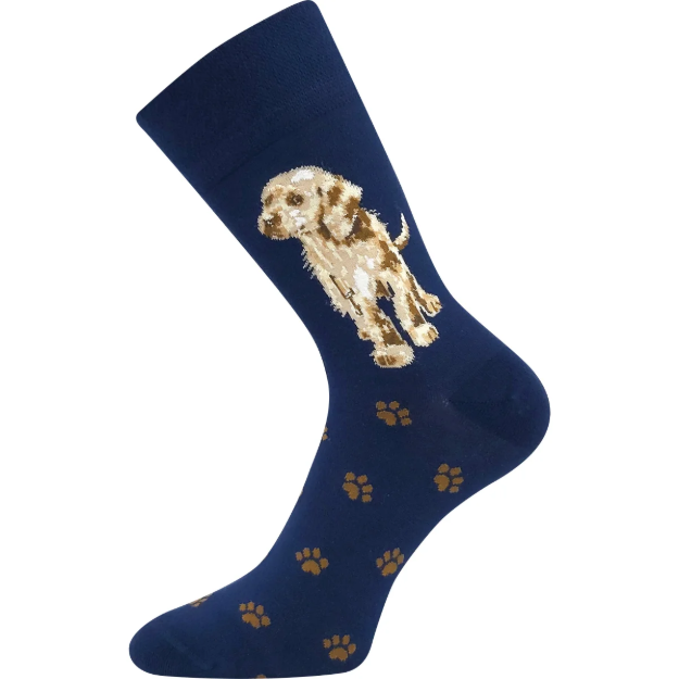 Obrázek z LONKA Ponožky dámské bambusové FOXANA s obrázkem PEJSKA (3 páry) 