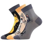 Obrázek z BOMA Ponožky dámské letní MICKA 01 s kočkami MIX A (3 páry) 