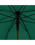 Obrázek z DOPPLER Oslo AC - pánský holový deštník zelená 