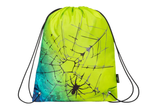 Obrázek z Bagmaster SÁČEK ALFA 20 C školní na přezůvky / tělocvik - pavouk 