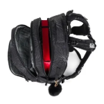 Obrázek z Bagmaster ZIPSTER 25 A školní batoh – černý Černá 30 l 